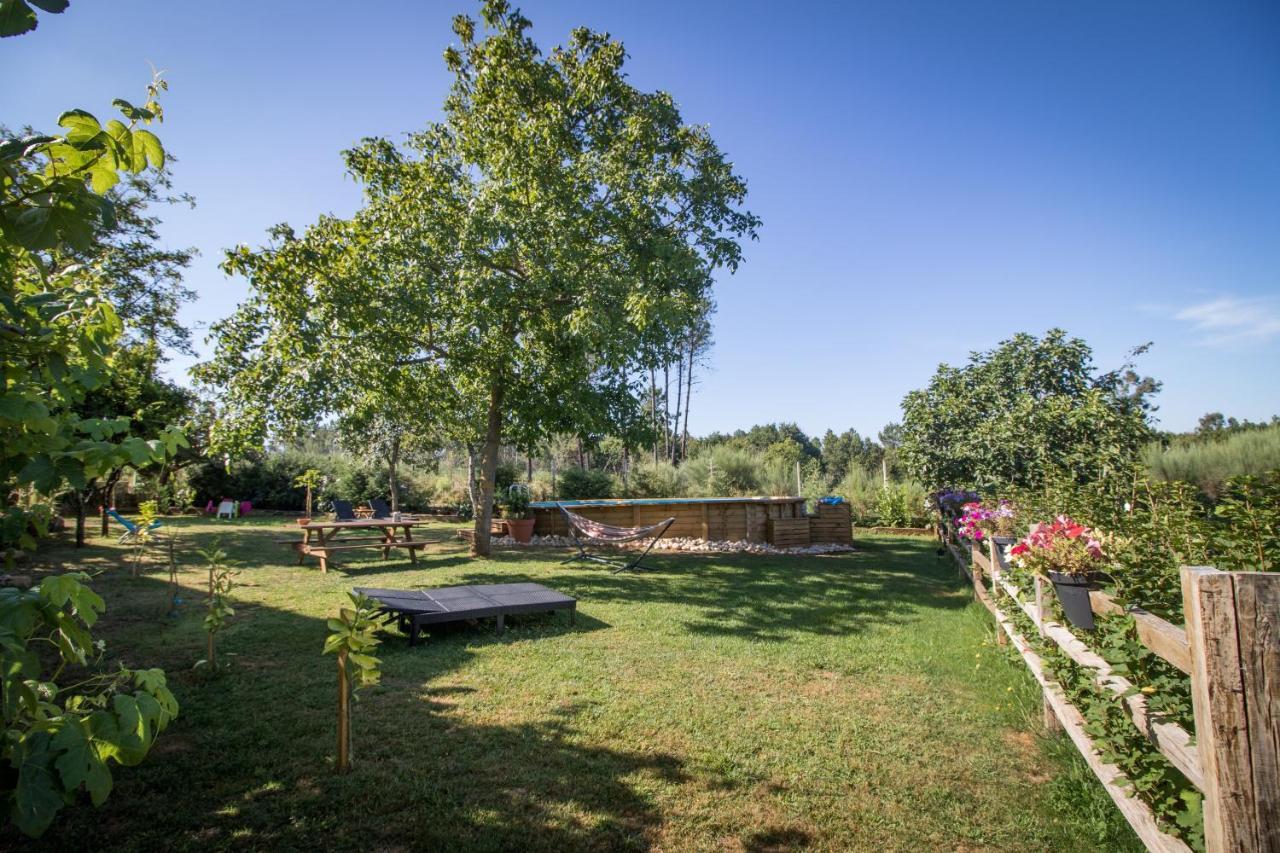 Quinta Vale Salgueiro Seia Exterior foto