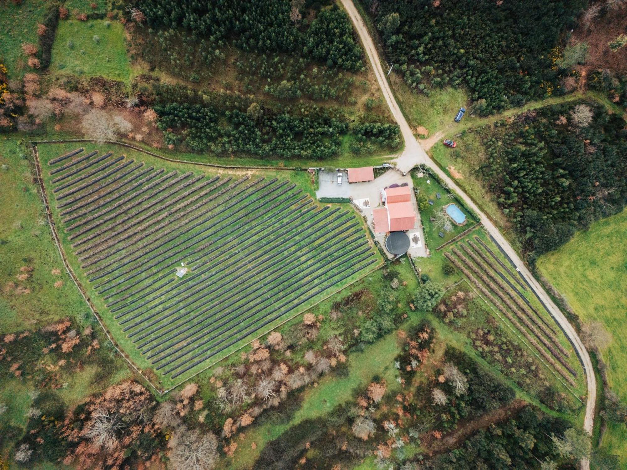 Quinta Vale Salgueiro Seia Exterior foto