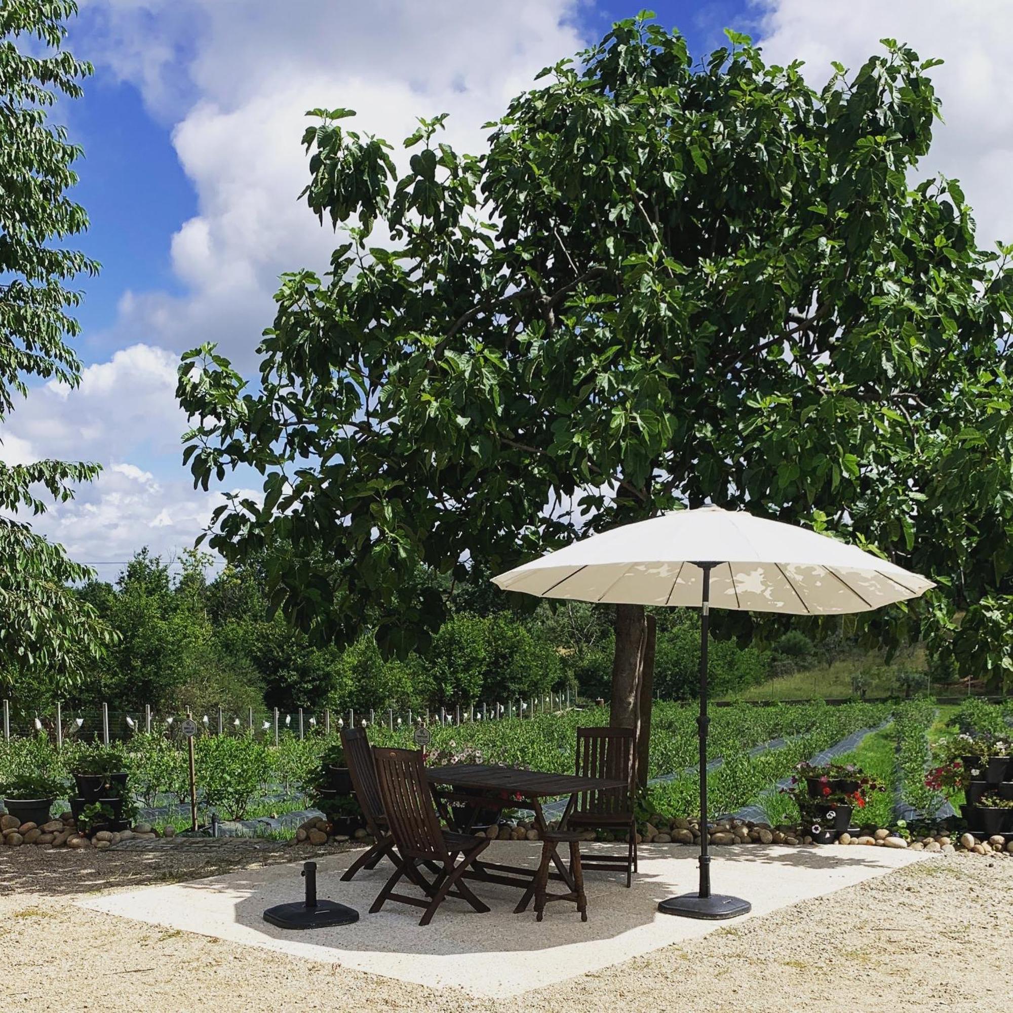 Quinta Vale Salgueiro Seia Exterior foto